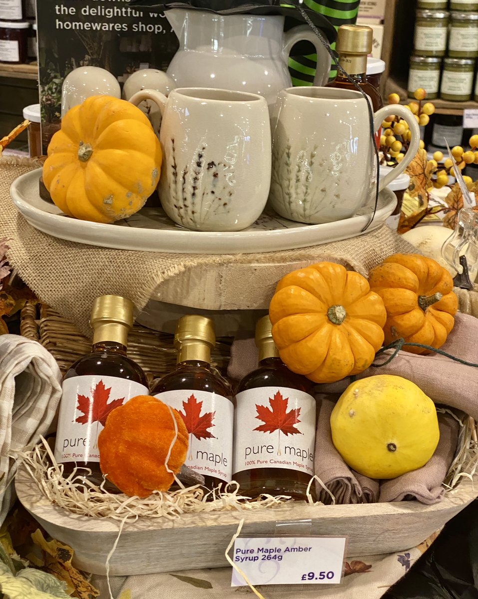 Pure Maple tweet media