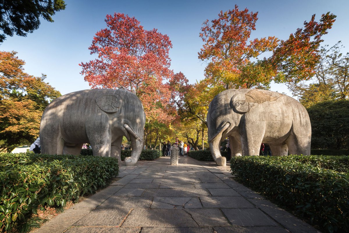 Nanjing , China tweet media