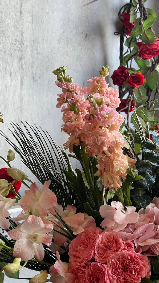 #ليلة_الجمعة

صلّوا على سيّدَ الكَونينِ واغتنموا
فضلَ الصلاةِ من الرّحمنِ ذي المِنَنِ ﷺ 
جمعه مباركه 🤍🌿