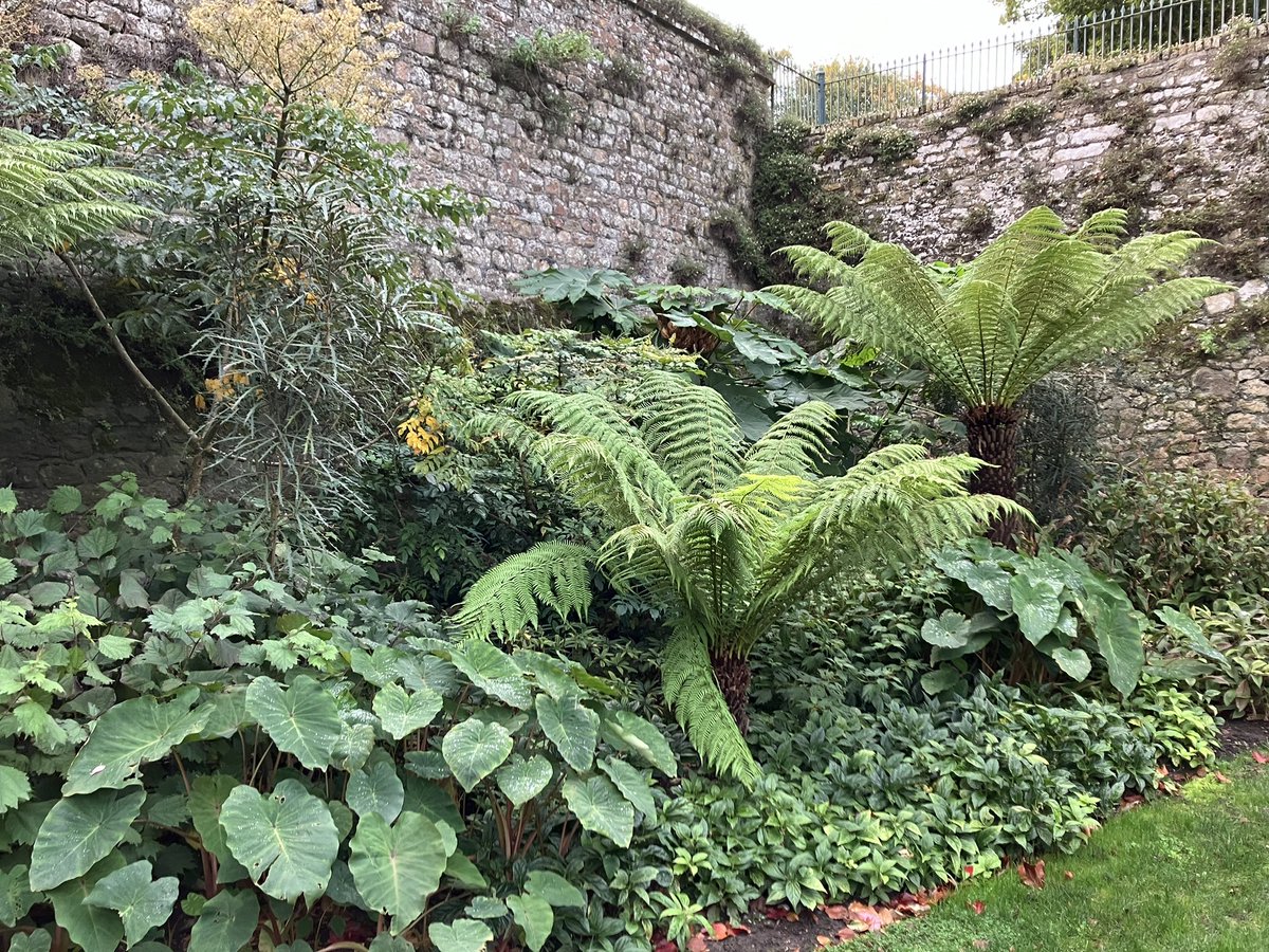 stervinoupep's tweet photo. Quelques photos des jardins de Walmer castle, dans le Kent https://t.co/slT1NaTcXI