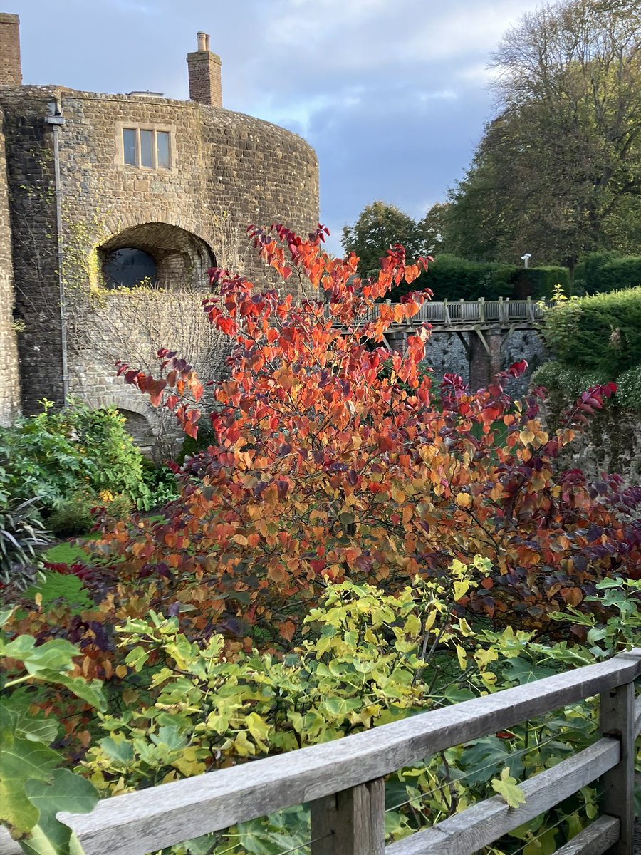 stervinoupep's tweet photo. Quelques photos des jardins de Walmer castle, dans le Kent https://t.co/slT1NaTcXI