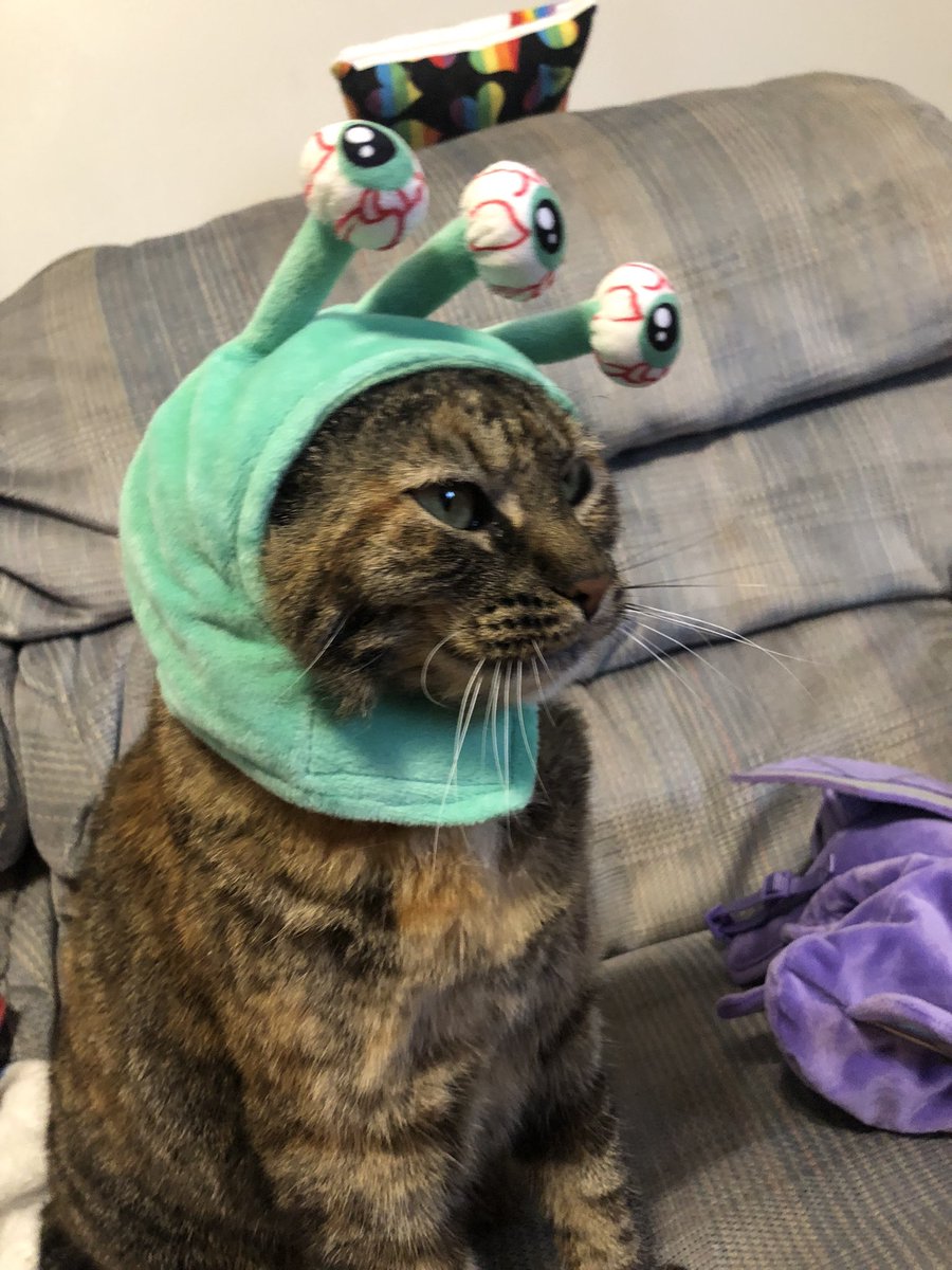 Eli Seitz tweet media