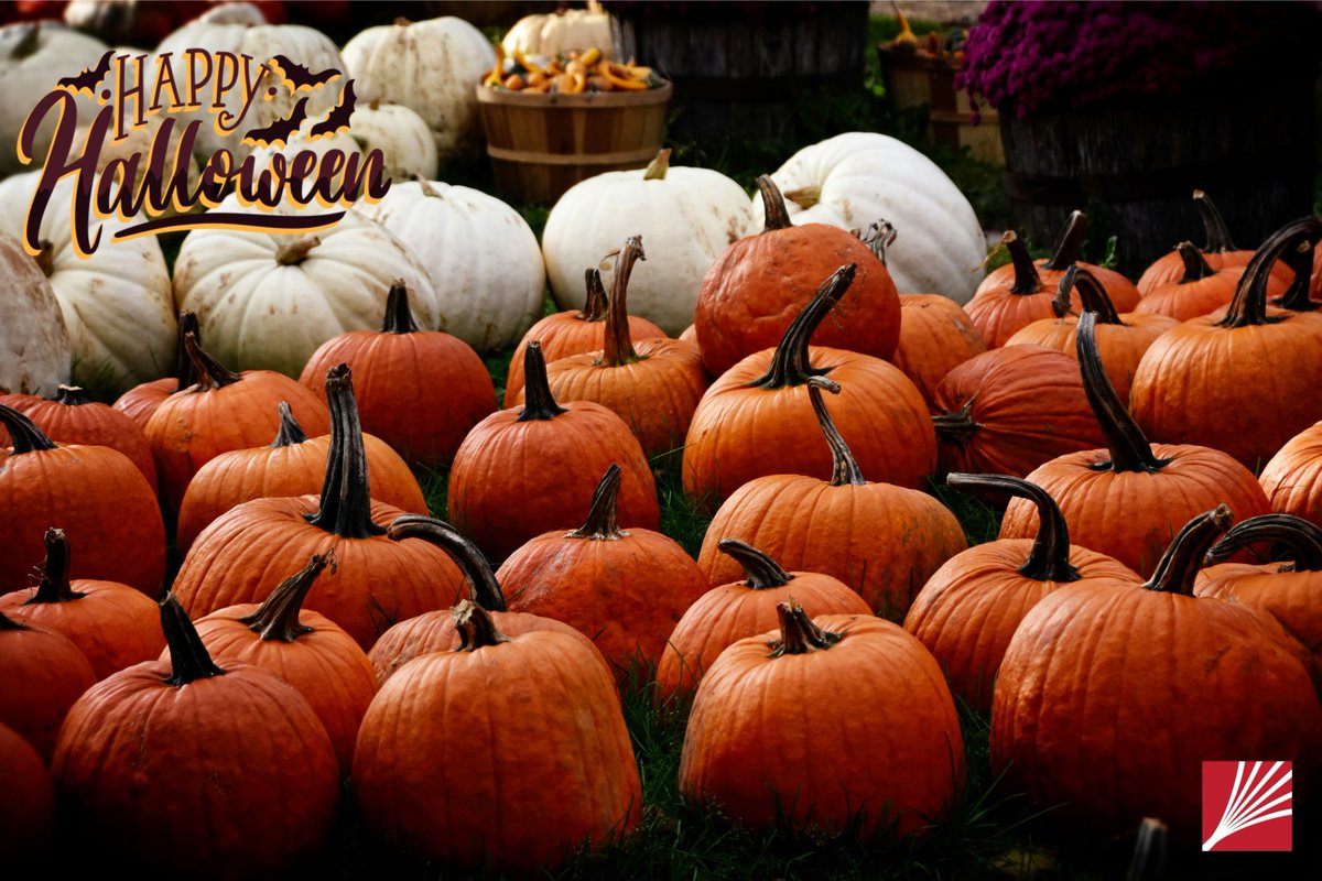 ComlinkSol's tweet photo. Happy Halloween from our team at Comlink Solutions!

#Halloween2024 #TrickOrTreat #ComlinkSolutions https://t.co/cGhQvgrMq5