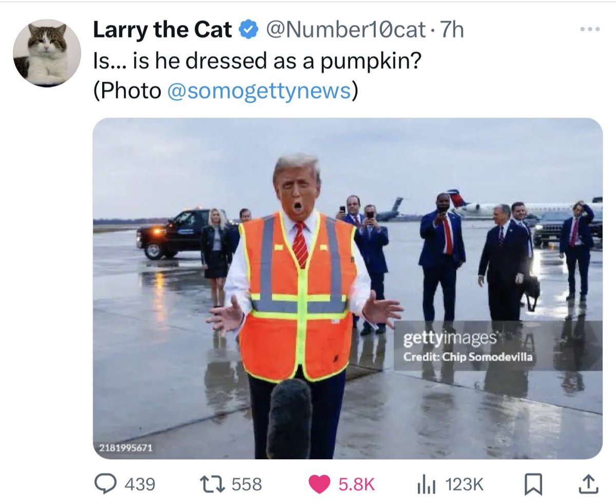 aprenco's tweet photo. It’s Hallowe'en and Donald Fart (very Joonior) has dressed up as a pumpkin.

In the real world, we use turnips. They have a greater IQ than USA Pres’dens! https://t.co/u9vXhXJBNo