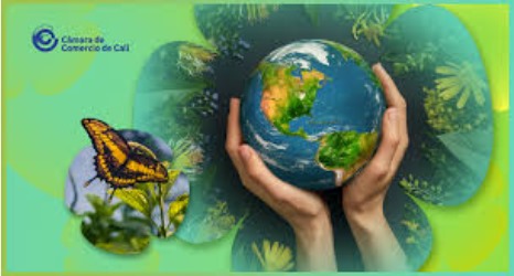 la_hernandez86's tweet photo. Por estos días, todos los medios y las redes sociales en #Colombia, están hablando de la #COP16🌱. Esta #cumbre se celebra cada dos años y este año, la sede del encuentro fue en #Colombia. https://t.co/l3FIewbIGR https://t.co/Y6Kaj5log0