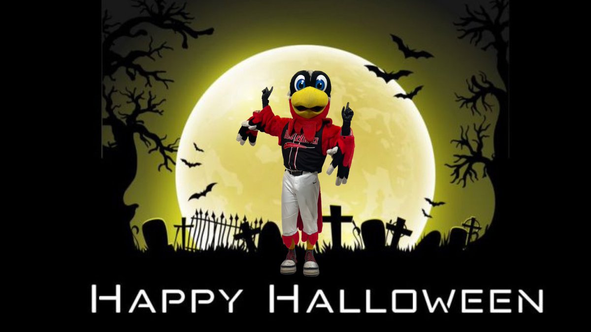 Hawkeye 🪶 tweet media