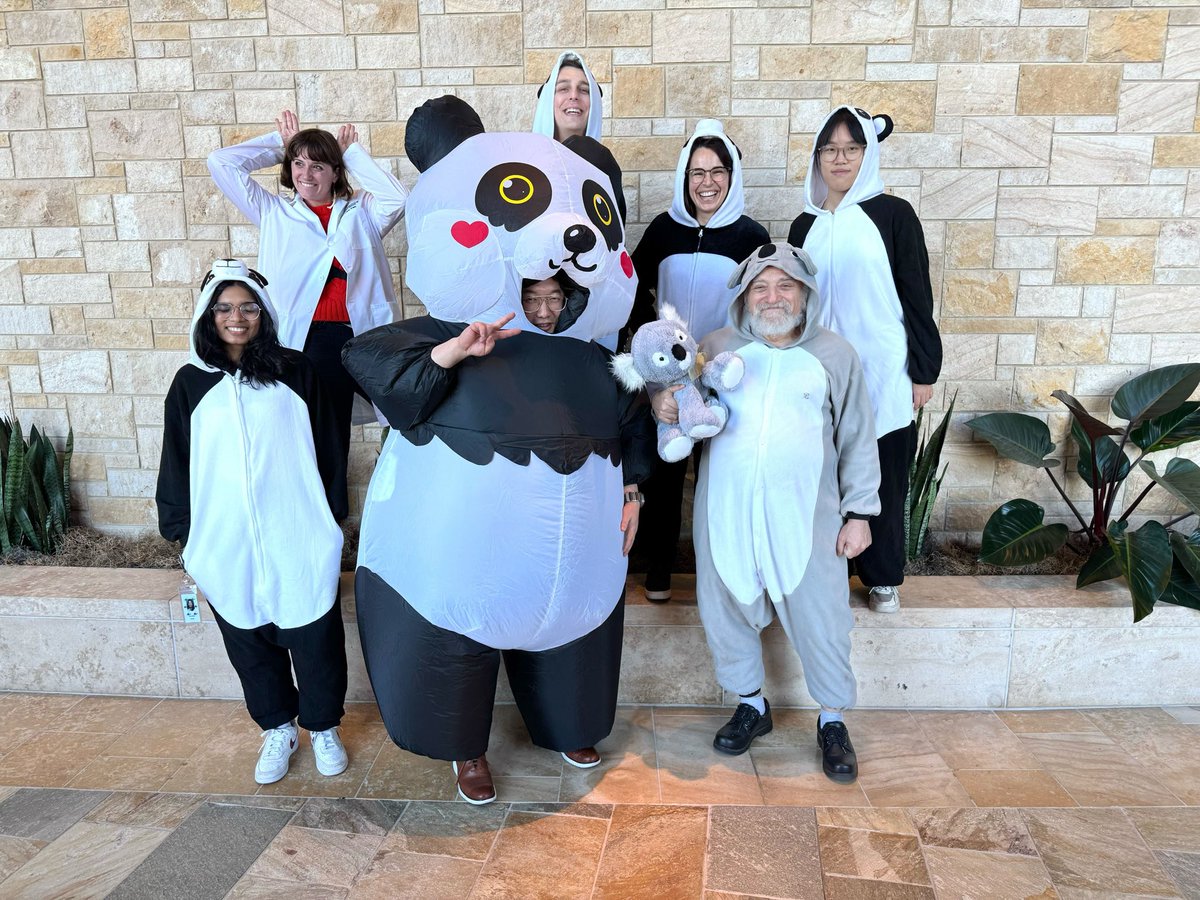 kkostova tweet media