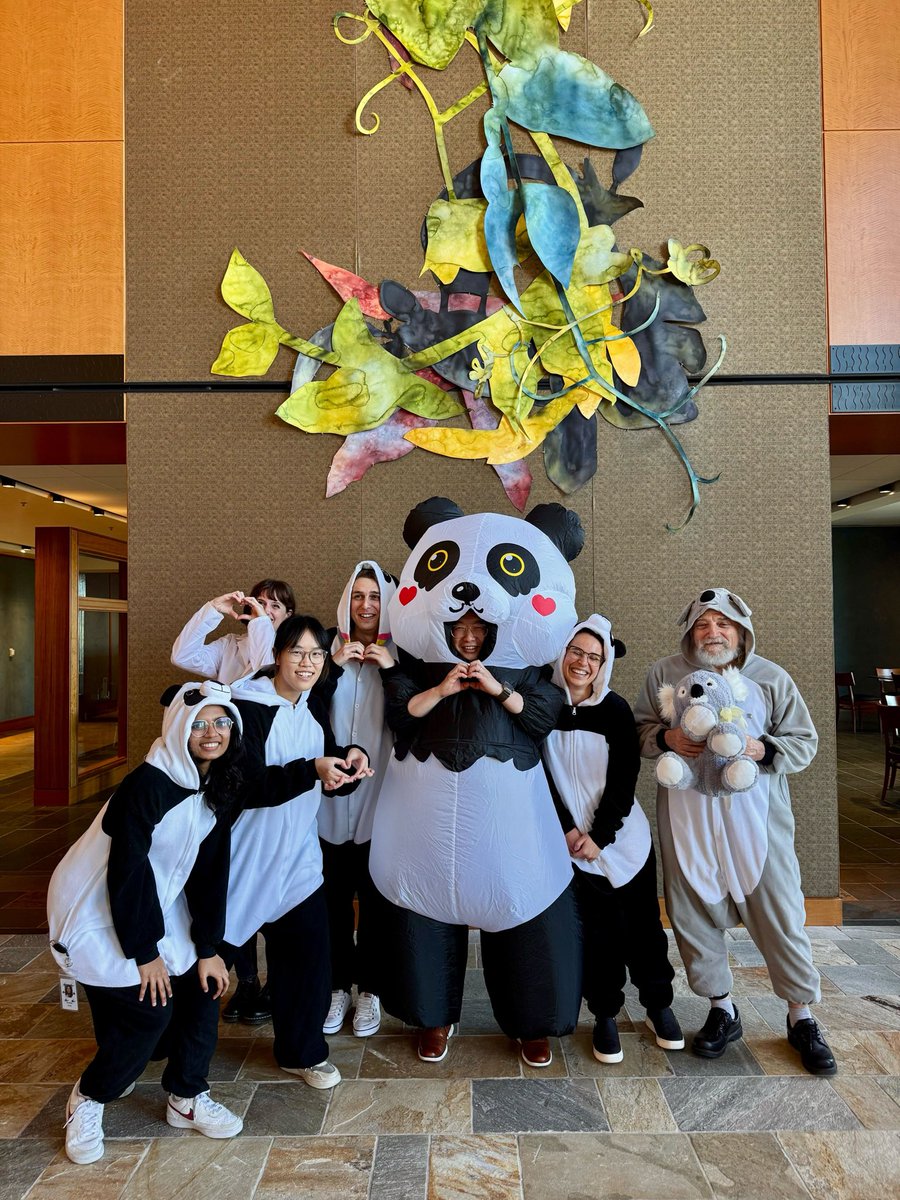 kkostova tweet media