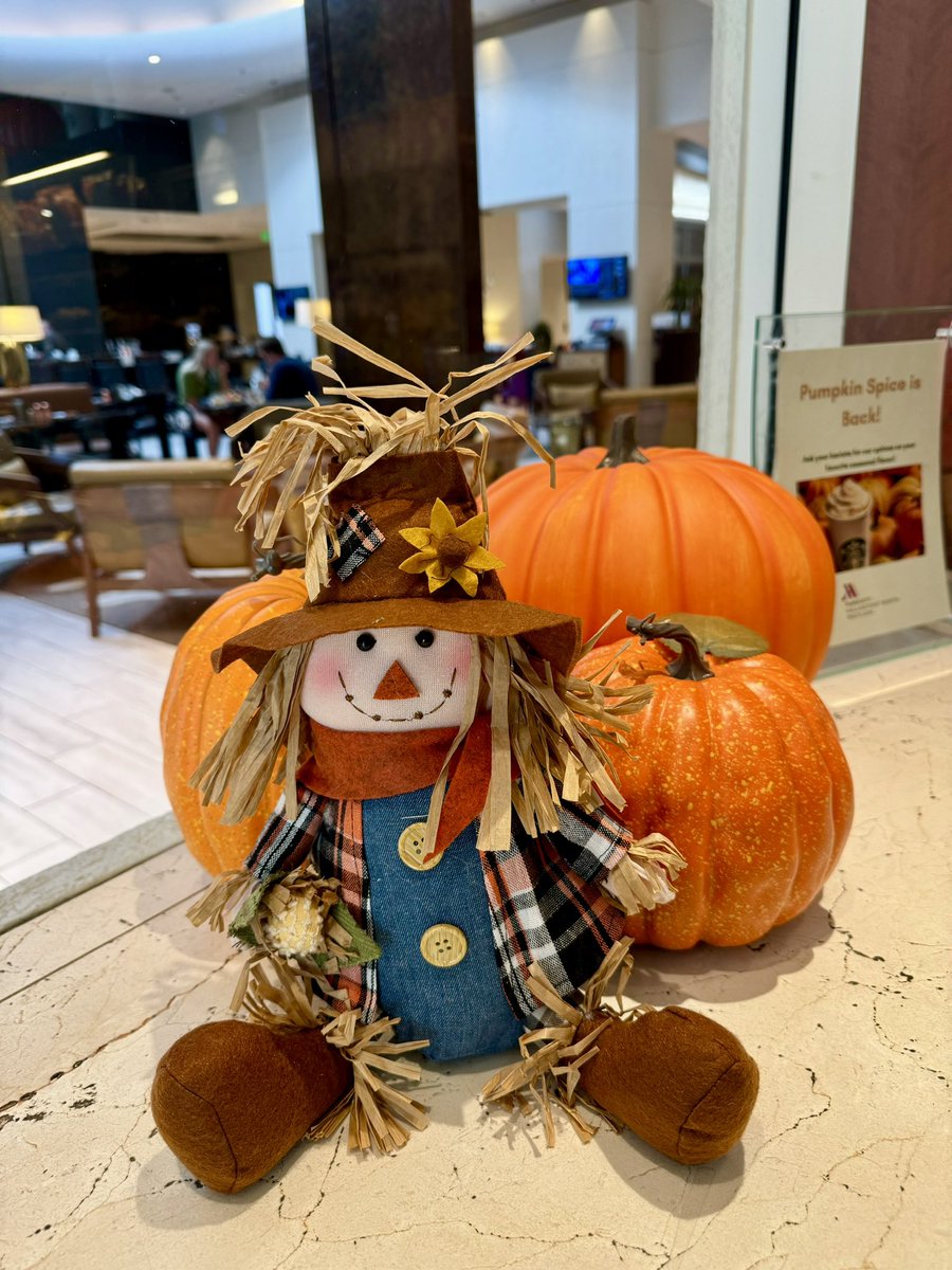 RossBernaud's tweet photo. 🎃🎃🎃 Happy Halloween https://t.co/QYsGGeJsfl