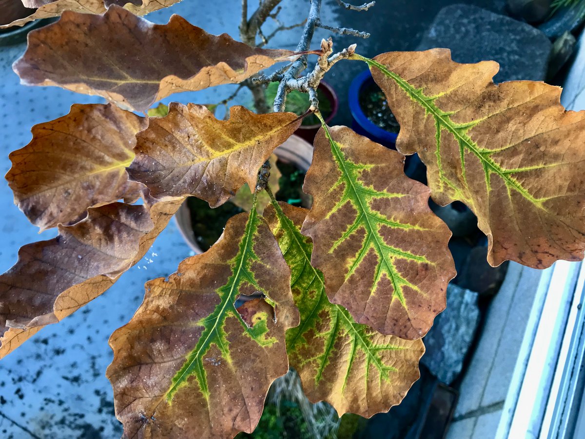 Guy Perryman tweet media