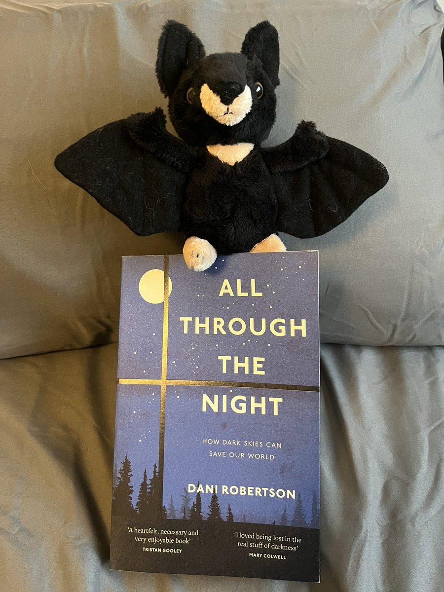 Noson Calan Gaeaf Hapus 🎃

Hope you’re all having a spooky evening out enjoying the darkness 🌌

Halloween is rooted in some old folklore and beliefs of the supernatural 👻 

You can find out more within the pages of my book - out in paperback this month!