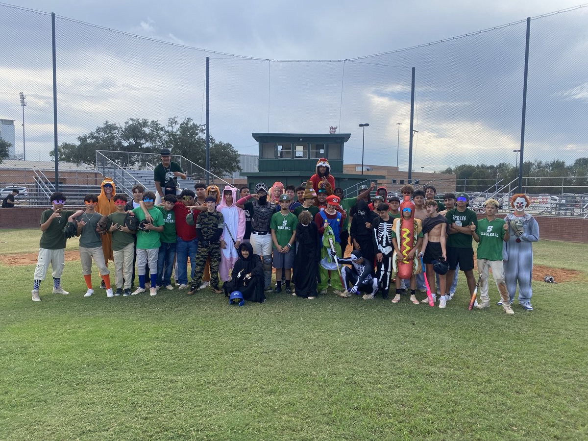 SPRING LION BASEBALL tweet media