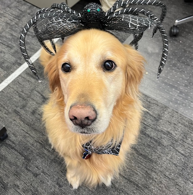 Happy Halloween, Tigers!  Be safe out there and have fun.