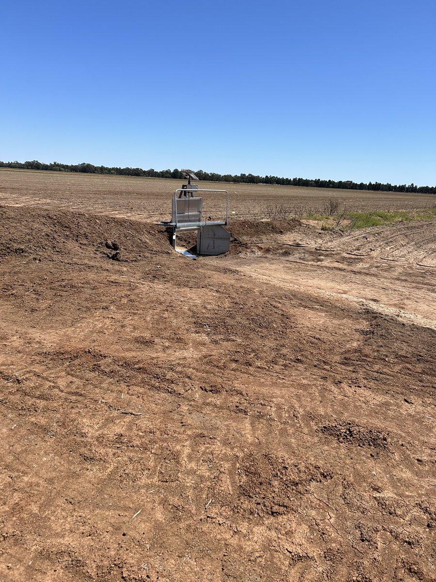 kokeeffe tweet media