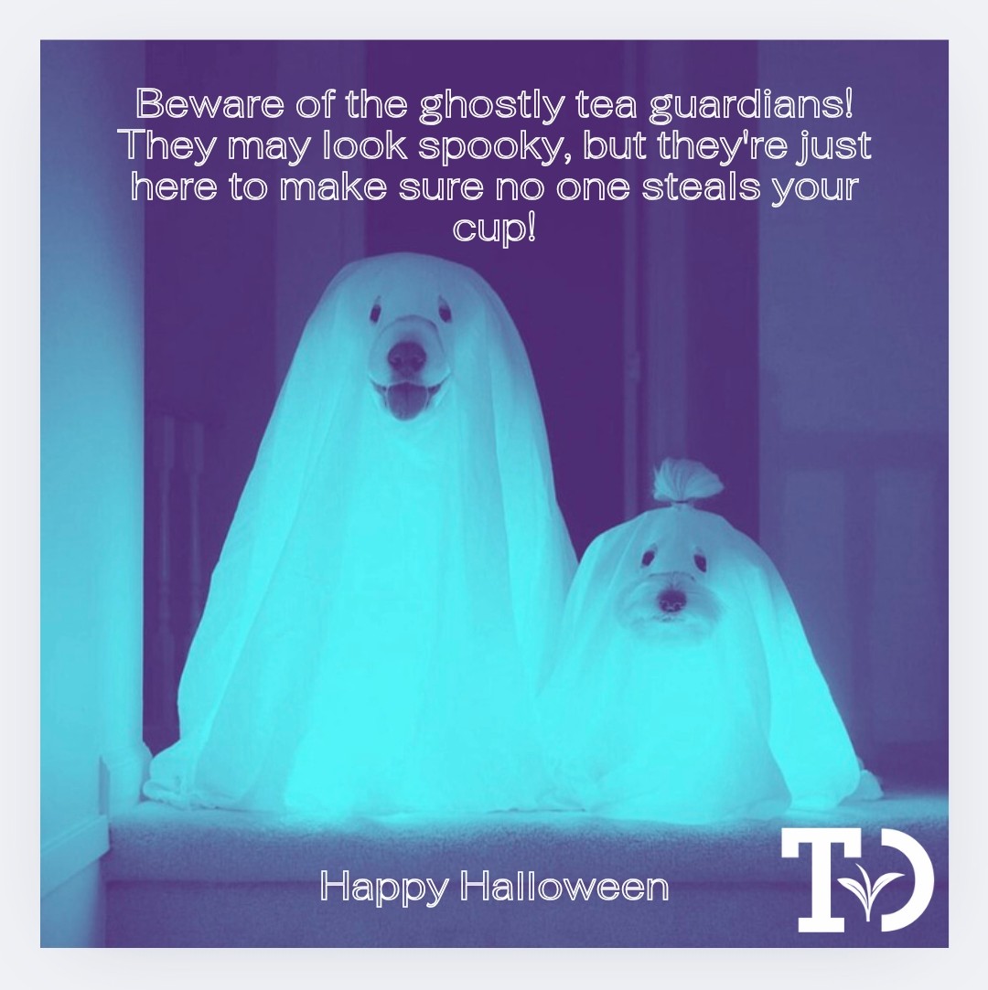 TeaOrb's tweet photo. Beware of the ghostly tea guardians! They may look spooky, but they're just here to make sure no one steals your cup! This Diwali, we celebrate the victory of light over darkness and raise a cup to brighter days. #HappyHalloween and #Diwali. https://t.co/HRl2DAhmBg