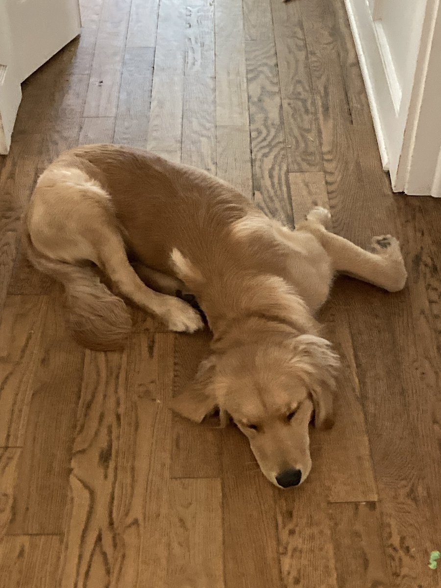 TV_Washburn's tweet photo. @DannyDeraney Hudson lays like this all the time. For him, it’s comfortable. To us, he looks like a crash victim. https://t.co/GqcjBbhnOL