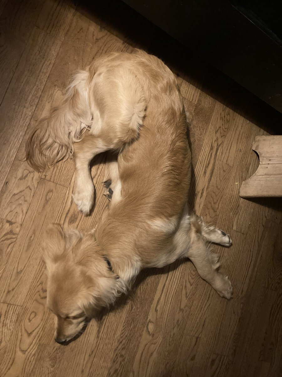 TV_Washburn's tweet photo. @DannyDeraney Hudson lays like this all the time. For him, it’s comfortable. To us, he looks like a crash victim. https://t.co/GqcjBbhnOL