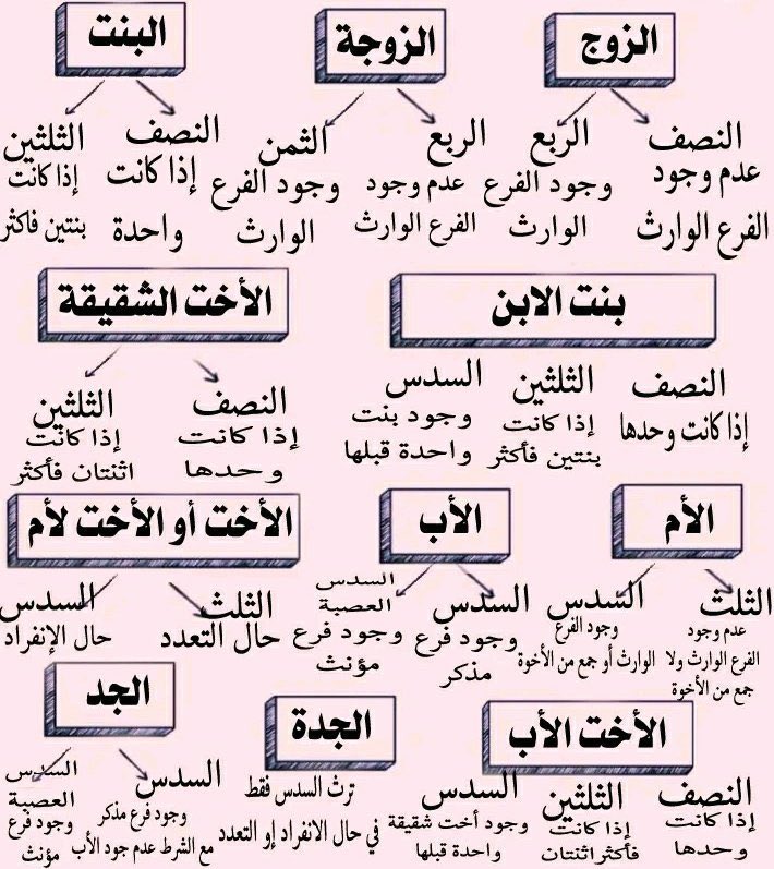 Greatiist0ffice's tweet photo. مختصر علم المواريث 👇 👌🏻 https://t.co/CScqOHyApO