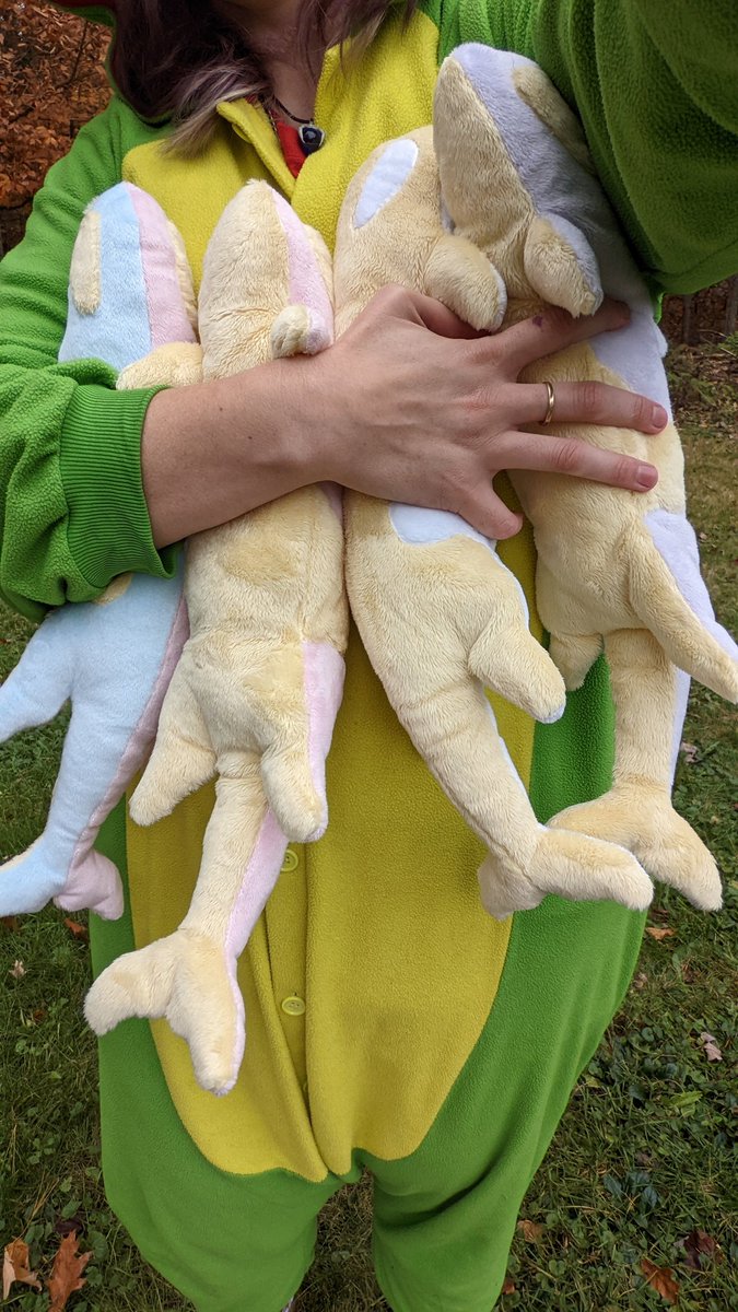 matuska's tweet photo. first litter of otca pups ✨ https://t.co/giLGNaKjQW
