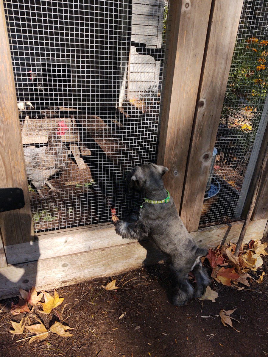 Oliver Holcomb tweet media