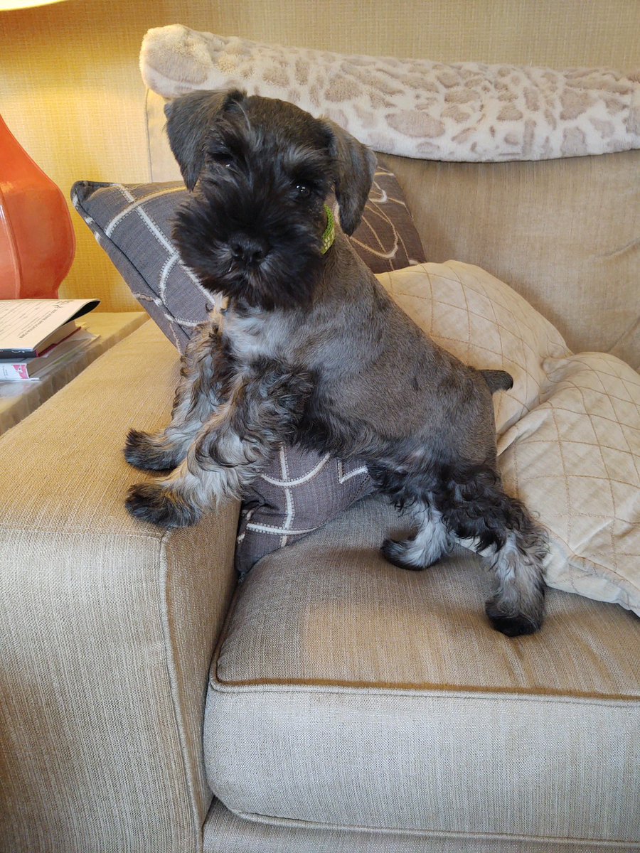 Oliver Holcomb tweet media