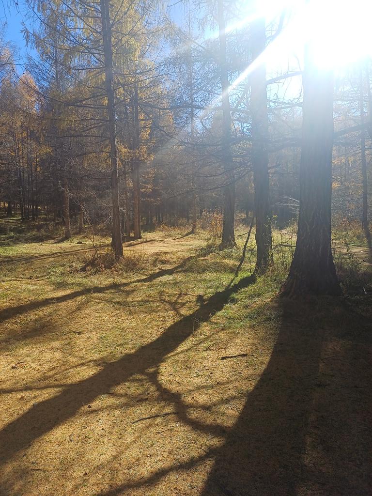 Өглөөний мэнд.