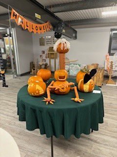 Cosy Direct tweet media