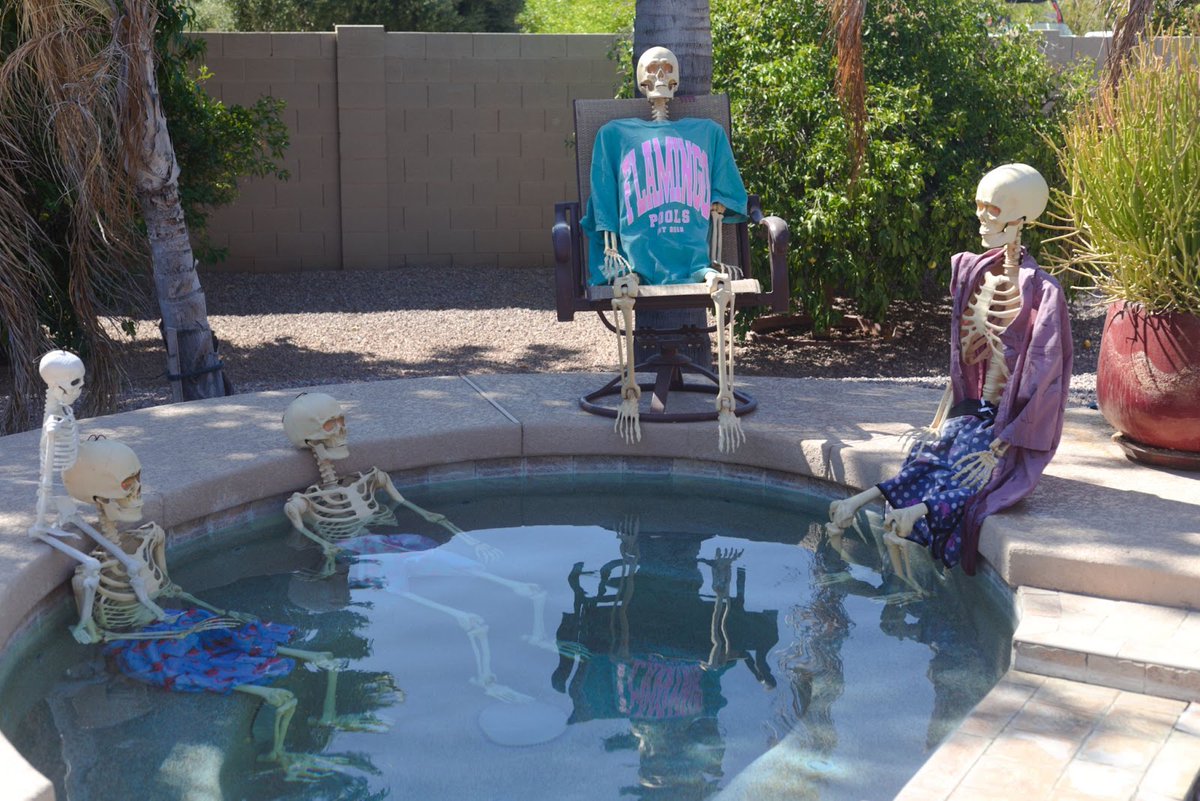 azflamingopools's tweet image. Even skeletons know where to chill! Whether you’re poolside or taking a dip, Flamingo Pools keeps it crystal clear—no bones about it!
#PoolsideChillin #SpookyVibes  #SkeletonCrew  #HalloweenFun