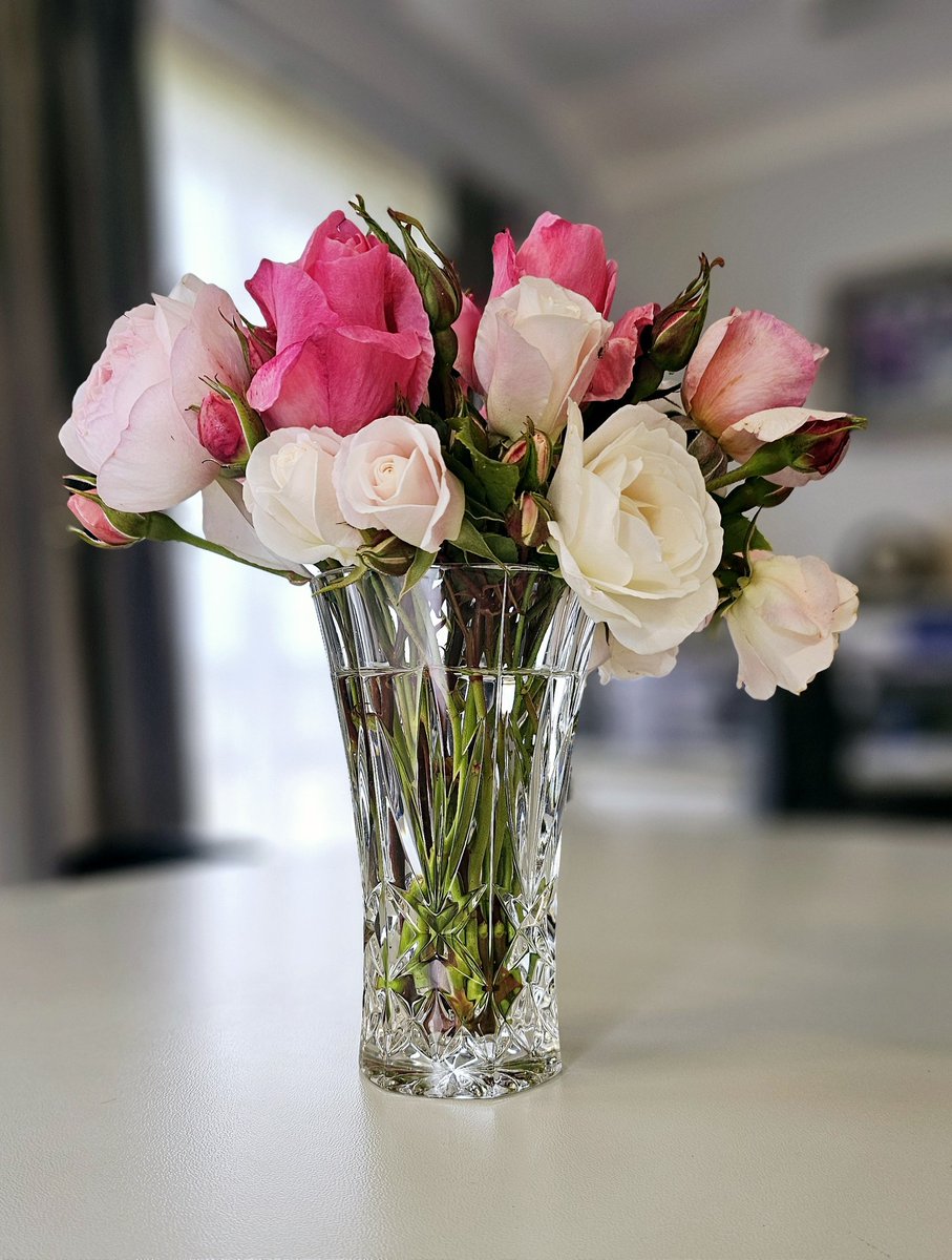 ShutterbytesMH's tweet photo. Spring time abundance from my garden, displayed in my office while I set to End of Month duties. π
#spring
#nature
#creation
#roses
#gardenflowers
#OBFlat
#GrantDistrictCouncil
#Limestonecoast
#southaustralia https://t.co/bxdxo6p6kJ