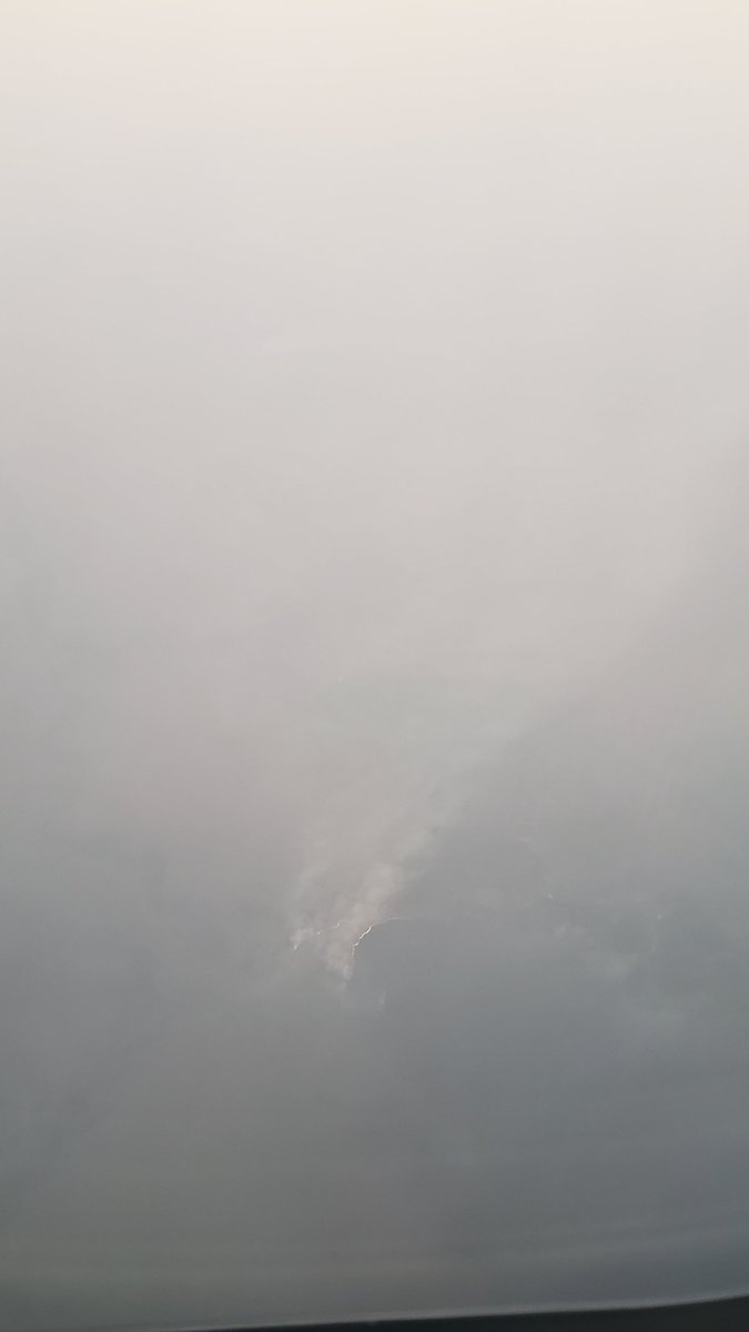 Melissa Paola Mezzari, Ph.D. tweet media