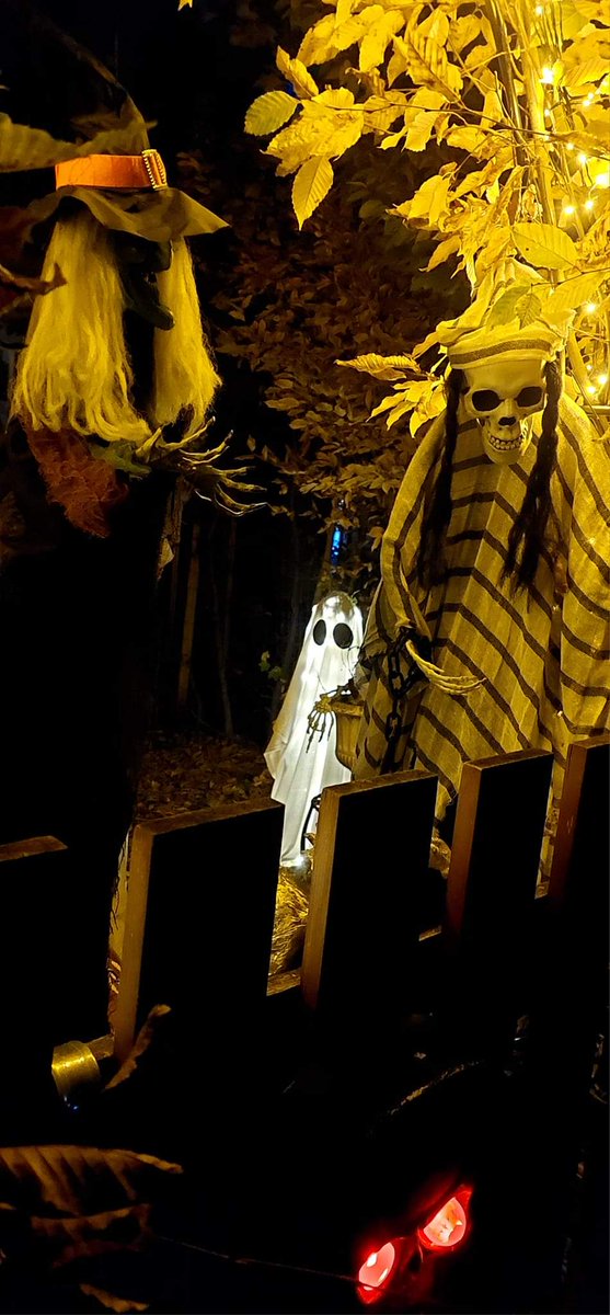 ⚡️Schwabi⚡️ tweet media