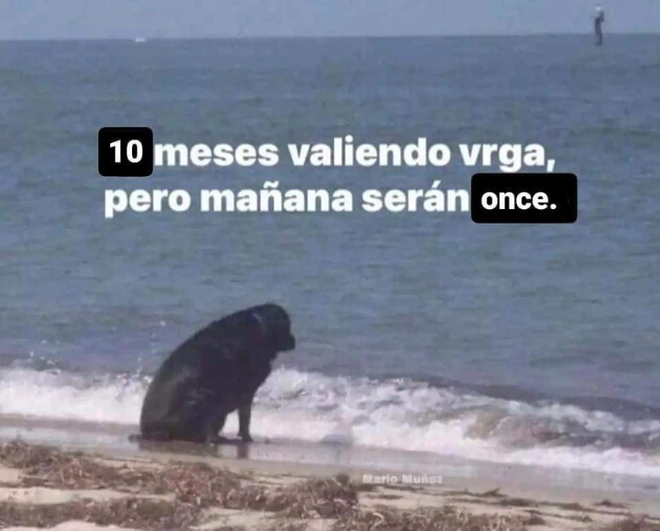 En Júpiter tweet media