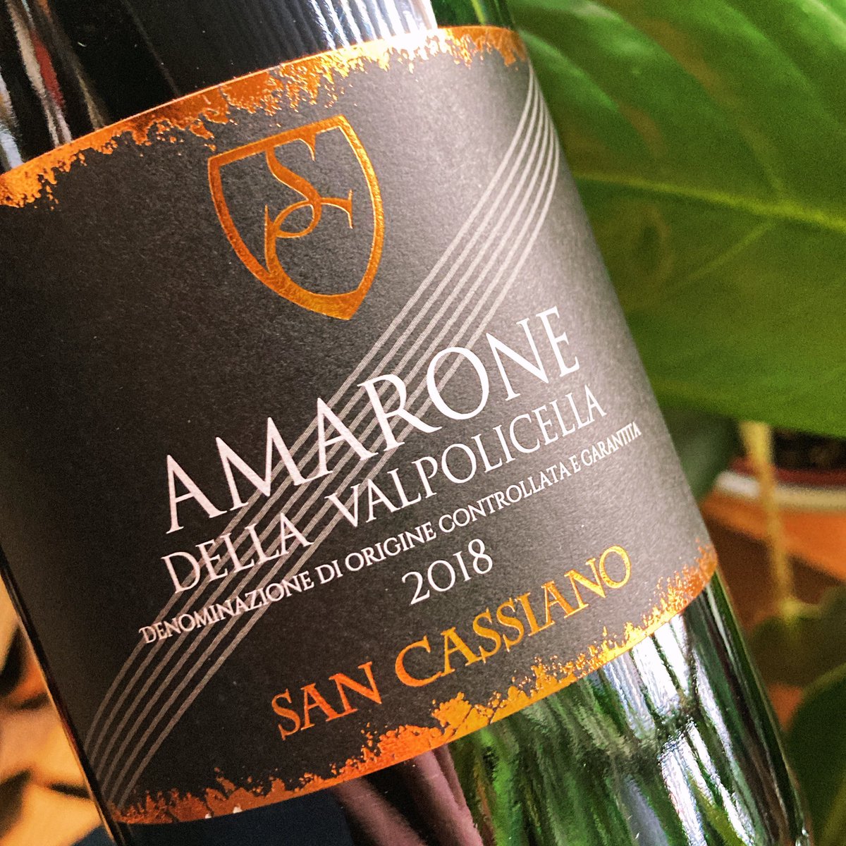 Veneto wine tasting with <a href="/eagleeyebrands/">Eagle Eye Brands</a> Friday 5-7pm. #amarone #bardolino #soave #valpolicella #colliorientali?