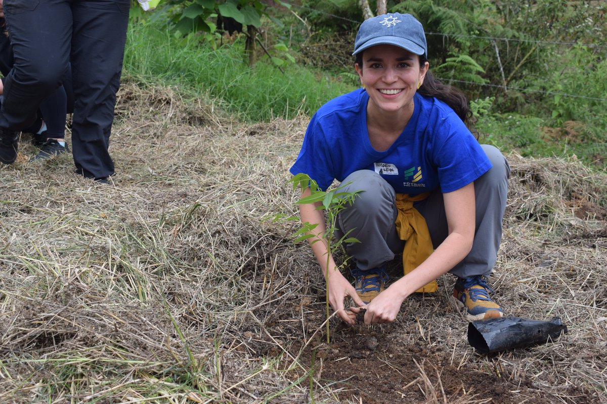 Trillion Trees (@1trilliontrees) on Twitter photo Together with <a href="/Climate_Focus_/">Climate Focus</a> we took a group from #COP16Colombia to learn first-hand about #forest #restoration on the ground, visiting a tree nursery, restoration sites & planting their own trees! 🌱
Read more ➡️bit.ly/3Uvlo2n Together with <a href="/Climate_Focus_/">Climate Focus</a> we took a group from #COP16Colombia to learn first-hand about #forest #restoration on the ground, visiting a tree nursery, restoration sites & planting their own trees! 🌱
Read more ➡️bit.ly/3Uvlo2n