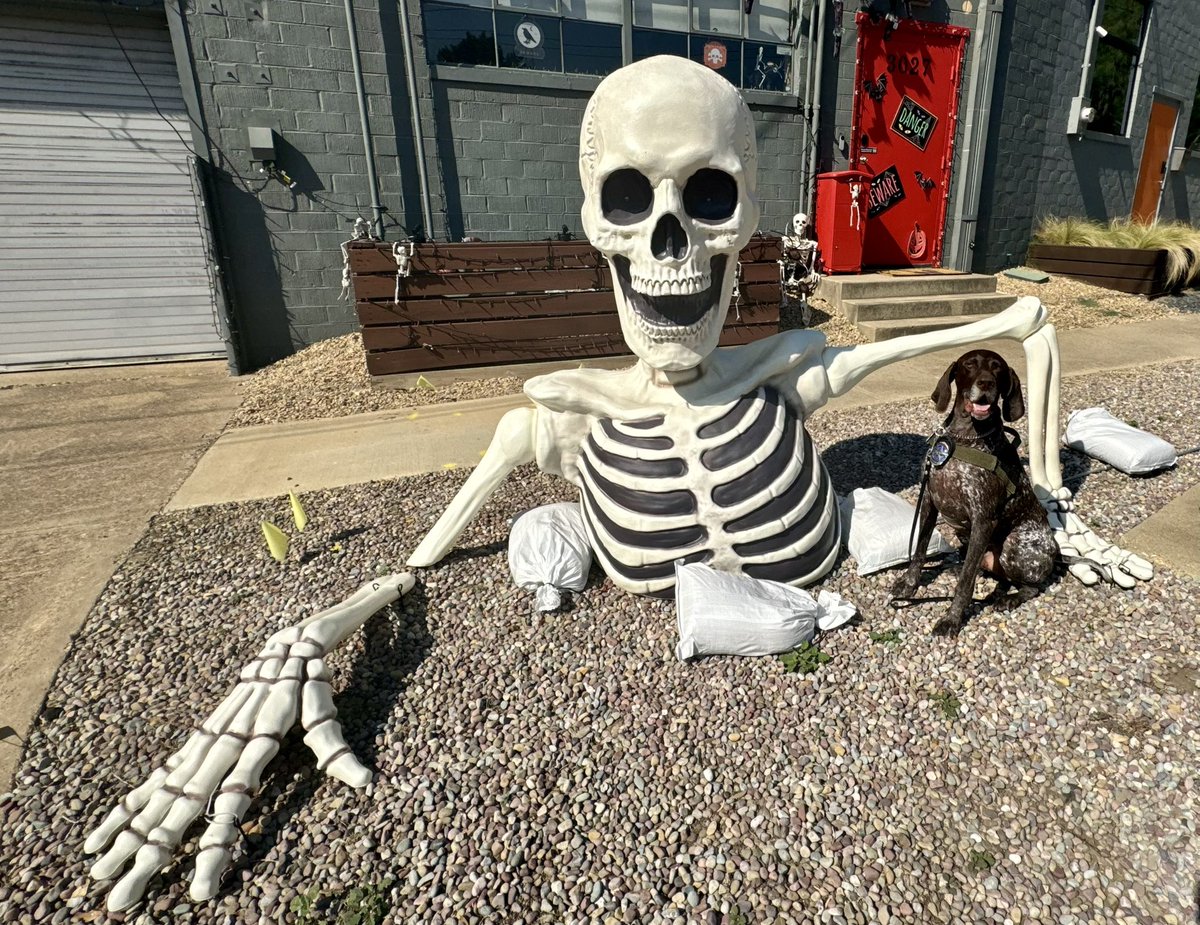 K9Apollo tweet media