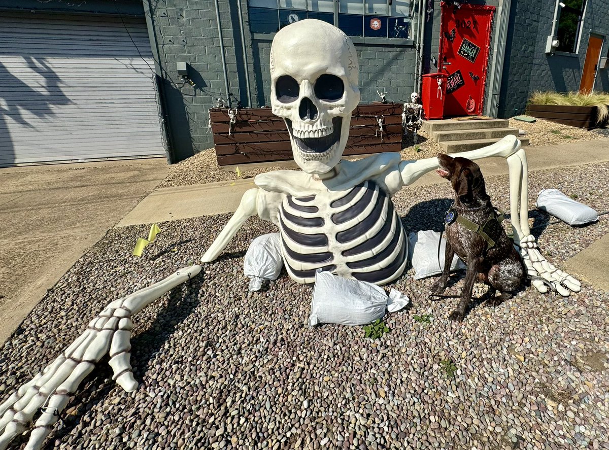 Happy Halloween! ☠️🎃👻