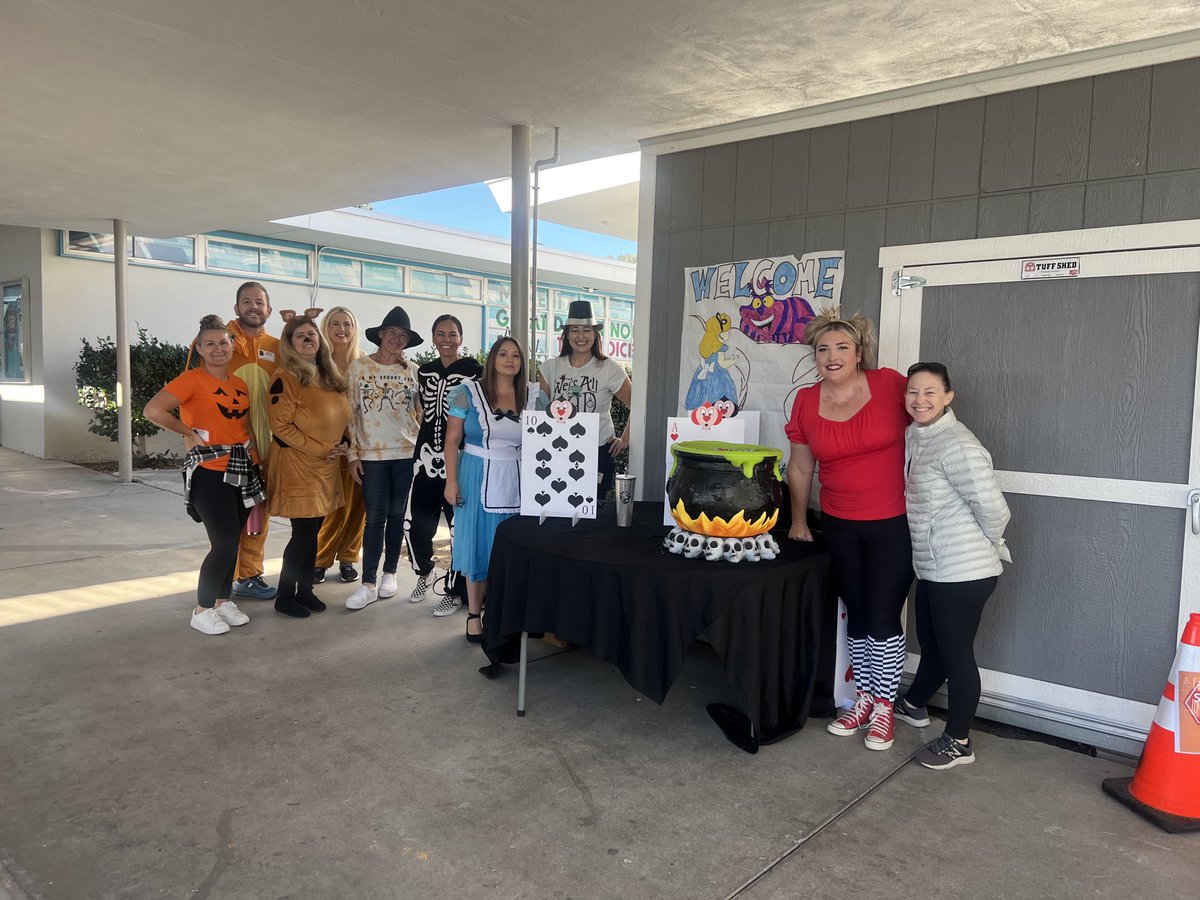 Stacey Perkins tweet media