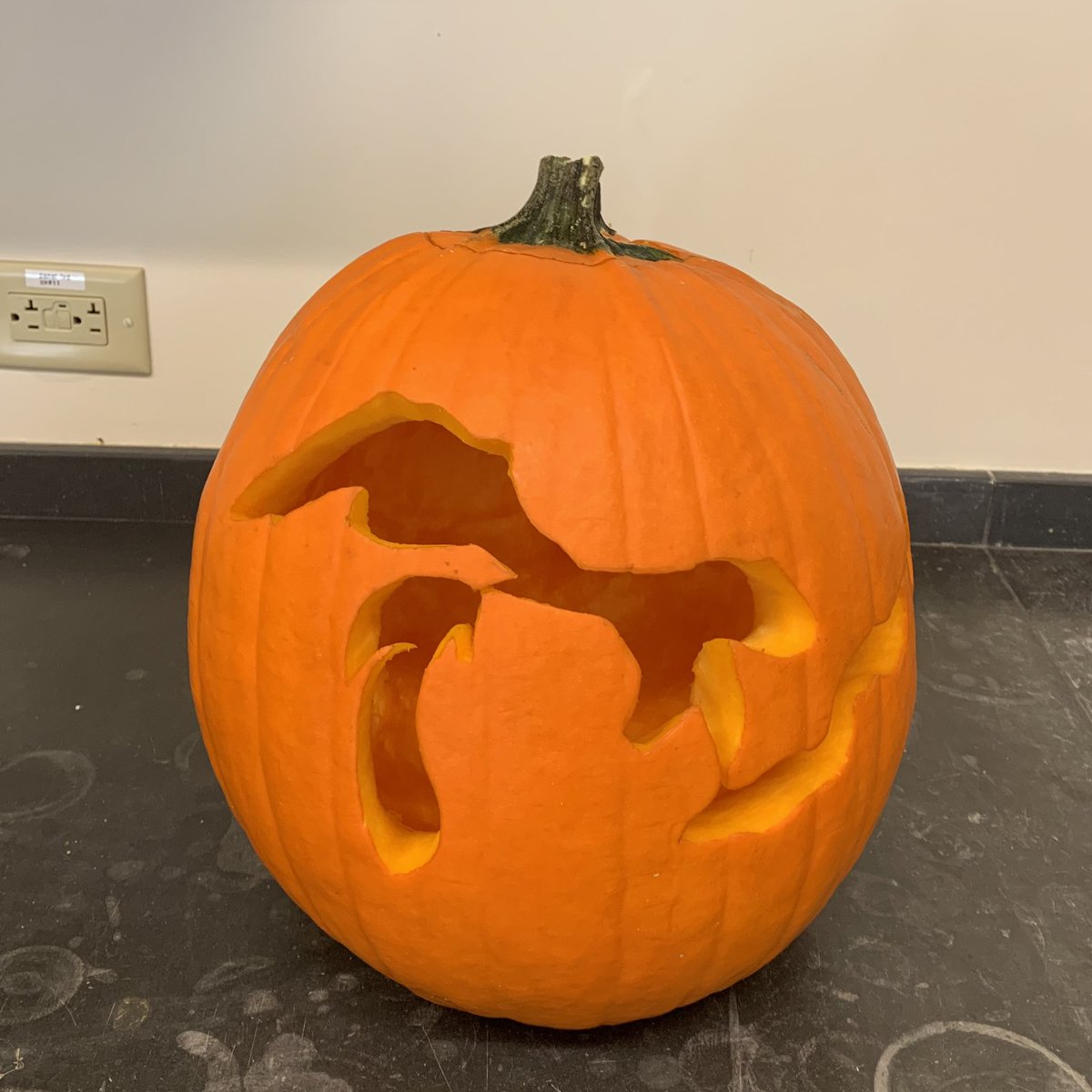 Anna Schmidt tweet media