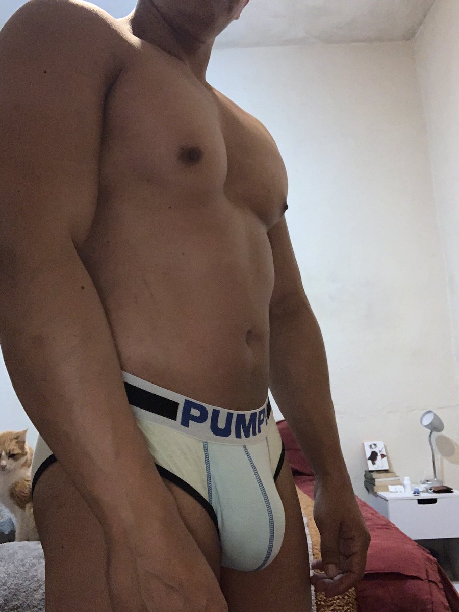 Creo que he visto un lindo gatito