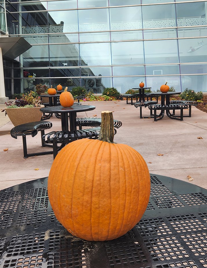 Were  they gifted by the Great Pumpkin or slyly air-dropped by a midnight  drone? We may never know, but each picnic table in front of Howe Hall  has been adorned with a pumpkin from a mysteeeerious secret admirer! We  thank the Halloween spirits at work!