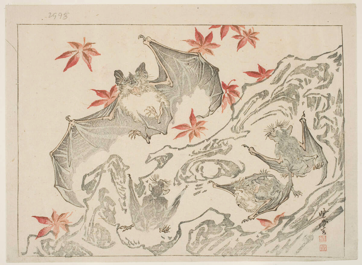 Happy Halloween!
What's your favorite Halloween motif? This year we're thinking bats 🌙🦇✨

🖼️🦇:
Kawanabe  Kyosai, "Bats Flying About A Large Piece Of Tufa," about 1885,  woodblock print. John Chandler Bancroft Collection, 1901.59.2993