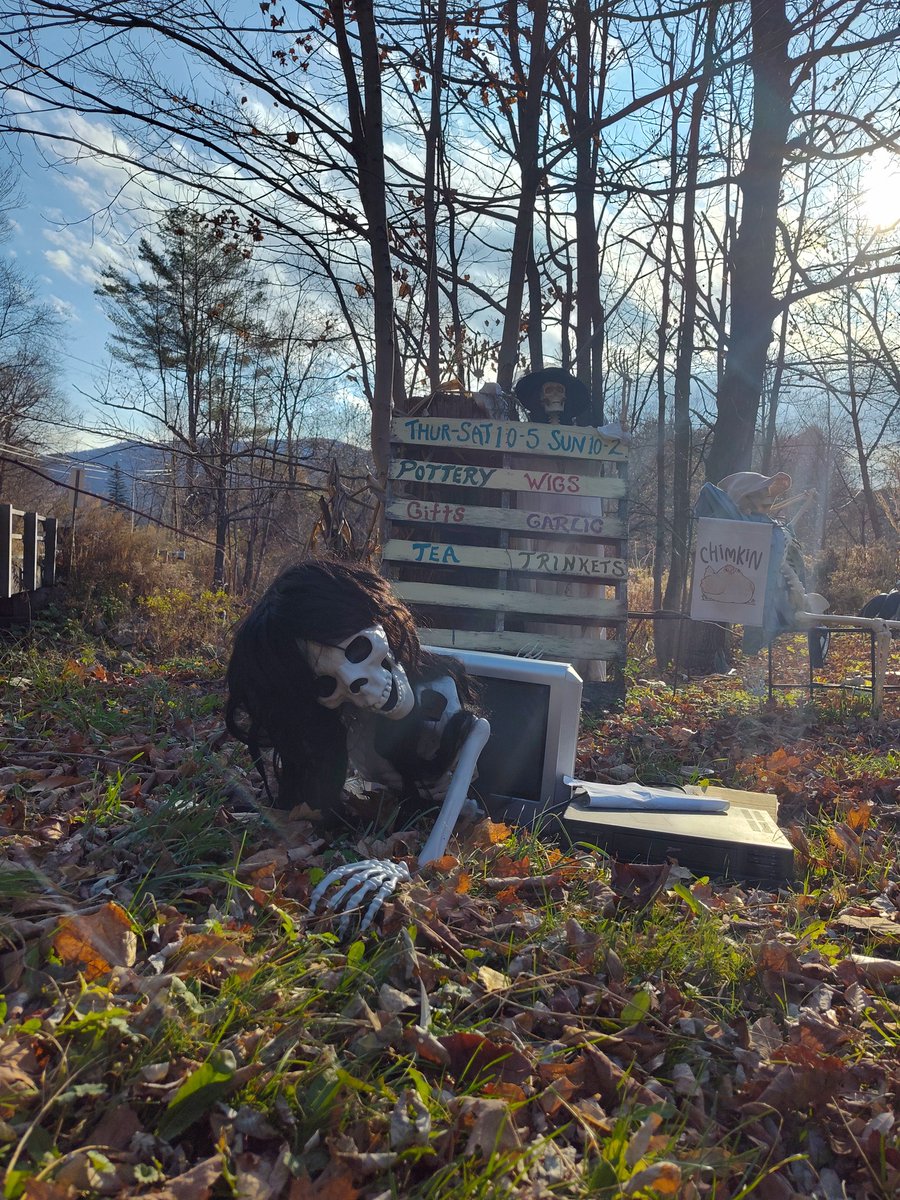 thefivewits's tweet photo. Happy Halloween! Stop by today to say hi, and pick up some goodies! The candy is free, but the healthy garden squash costs extra. Also, we put out  oodles of spooky and nerdy free books and toys for those who candy does not satisfy. https://t.co/LGc2EnXLcw