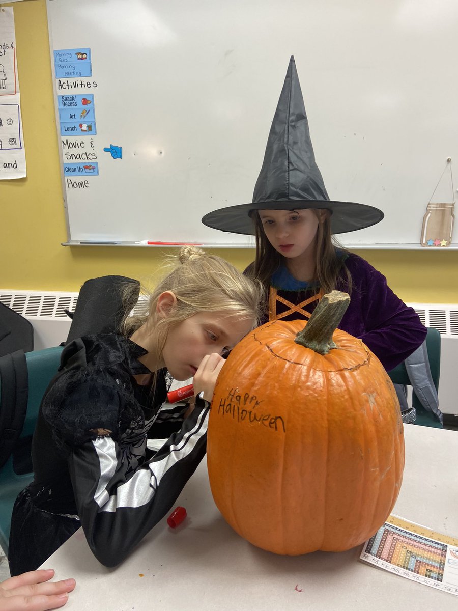 Sophia Hewitt tweet media