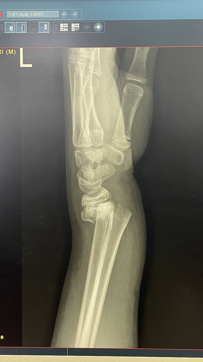 الأخصائيه مستقبلاً لولو ☢️ tweet media