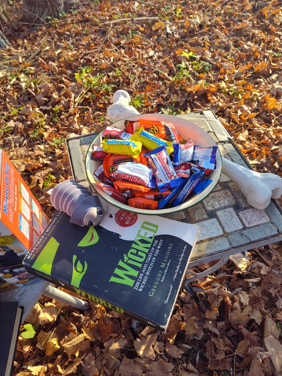 thefivewits's tweet photo. Happy Halloween! Stop by today to say hi, and pick up some goodies! The candy is free, but the healthy garden squash costs extra. Also, we put out  oodles of spooky and nerdy free books and toys for those who candy does not satisfy. https://t.co/LGc2EnXLcw