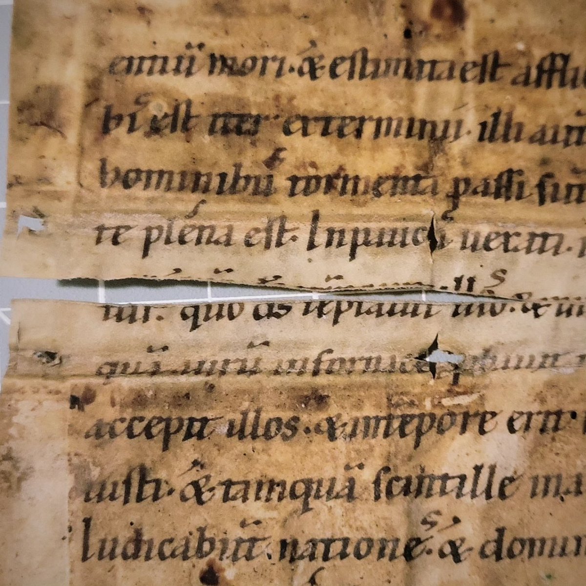 Deal of the day, two 12th century leaf fragments, taken from a Latin liturgical manuscript.

These manuscripts were once used as binder’s waste, saved from a bookbinding.

Price? 350 USD + Postage

thatguywiththebooks.com/products/two-c…