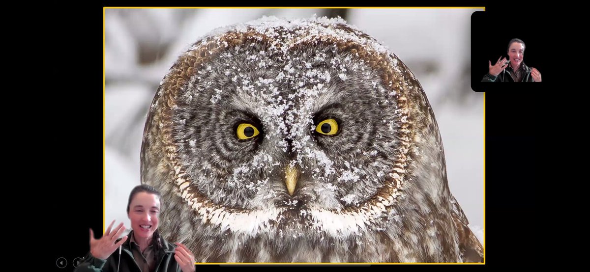 Bobby Lewis (Brian) tweet media