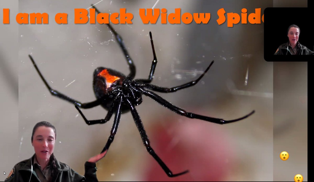 Bobby Lewis (Brian) tweet media