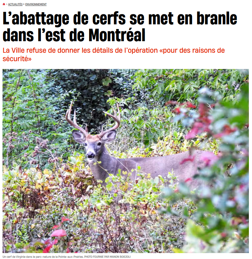 Anne-France Goldwater tweet media