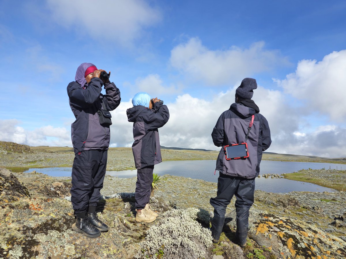 Today after 8 days stay all the #ewcp monitors who were in sanetti and web valley are all back.
<a href="/KyKebero/">EWCP Ethiopian Wolf Conservation</a> 
<a href="/ClaudioSillero/">Claudio Sillero</a> 
<a href="/wildnetorg/">Wildlife Conservation Network</a> 
<a href="/WildCRU_Ox/">WildCRU, Oxford</a> 
<a href="/Arctic_paws/">Sandra Lai @sandralai.bsky.social</a> 
<a href="/MarinoJorgelina/">Jorgelina Marino</a>